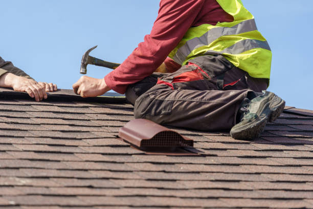 Best Storm Damage Roof Repair  in Union City, MI