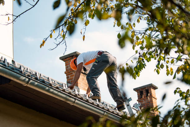Best Roof Replacement Cost  in Union City, MI