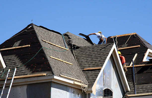 Best Metal Roofing Contractor  in Union City, MI