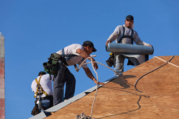 Best Residential Roofing Contractor  in Union City, MI