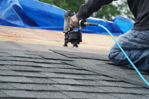 Best Roof Restoration Services  in Union City, MI