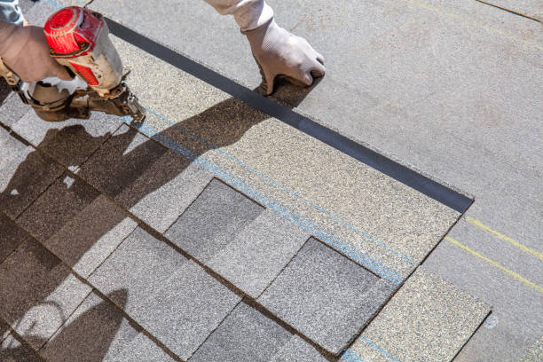 Best Roof Repair Services  in Union City, MI