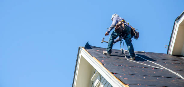 Best Gutter Installation and Roofing  in Union City, MI
